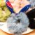Korean Style Faux Velvet Rabbit Ears Hair Rope Fur Hair Ring Women's Headband Faux Rabbit Fur Rubber Band Korean Autumn and Winter Hair Accessories Headdress