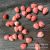 Shell Powder Embossing Craft Accessories Queen Shell Pink Pressed Golden Orchid Personality DIY Pendant Clothing Accessory
