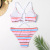 Split Swimsuit Striped Girl Bikini European and American Foreign Trade Swimsuit Bikini Wholesale