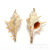 Yibei DIY Ornament Accessories Conch Necklace Pendant Factory Spot Direct Sales New Gold-Plated Edge Conch