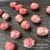 Shell Powder Embossing Craft Accessories Queen Shell Pink Pressed Beauty Female Personality DIY Pendant Clothing Accessory