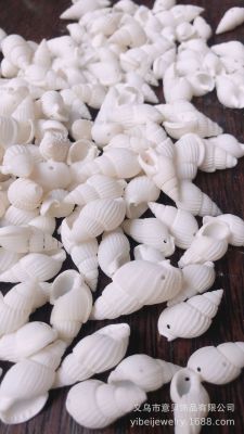 [Yibei] Small Particle Edge Hole Non-Hole Conch White Miluo Conch Shell Crafts Accessories Bulk Goods Wholesale