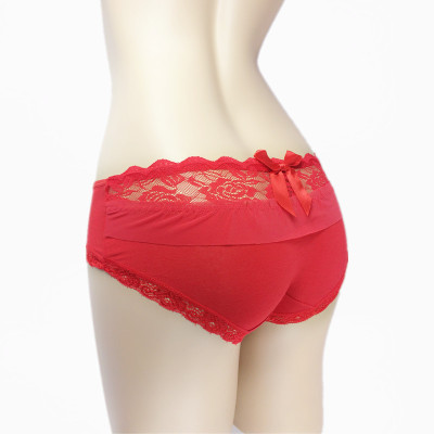 Girl's Breathable Low Waist Lace Underwear Special Offer Girl Student Fashion Underwear