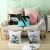 Gm097 Plant Summer Cross-Border Hot Selling Style Amazon Hot Home Decoration Peach Skin Pillow Cover