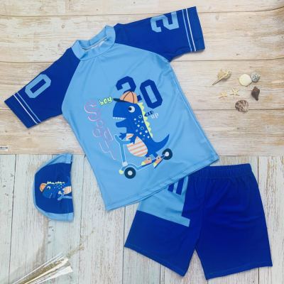 New Cartoon Split Children's Swimsuit Older Kids' Swimwear Swim Trunks Set Cartoon Dinosaur Hot Spring Swimsuit Wholesale