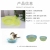 Pet Glass Bowl Pet Glass Bowl