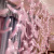 Led Copper Wire Curtain Light Ins Decorative Live Light String Indoor Decorative Feather Light String
