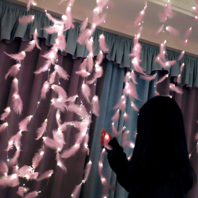 Led Copper Wire Curtain Light Ins Decorative Live Light String Indoor Decorative Feather Light String