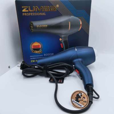 Spiral Wire Constant Temperature Electric Blue Single Wind Collector Power Saving Folding Household Heating and Cooling Air Anion Hair Dryer