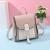 Factory Direct Sales Bag for Women 2020 New Autumn and Winter Fashion Tide Simplicity Minimalism Score Ins Super Pop Backpack