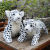 Simulation Pups Leopard Snow Leopard Lion Doll Cute Plush Toy Forest Animal Doll Leopard Tiger Doll