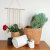Washed Tear-Proof Kraft Paper Bag Creative Ins Nordic Style Imported Flower Pot Dried Flower Rose Flower Pot