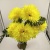 Factory Direct Sales Simulation Plastic Flower 7 Heads Calliopsis Shooting Props Funeral Decoration Grave Sacrifice