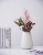 Plastic Vase Ins Best-Seller on Douyin Cheap Vase