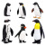 Children's Simulation Ocean Animal Model Set Toy Arctic Penguin Emperor Penguin Static Solid Decoration Set