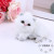 Small Pet Pendant Plush Love Doll Keychain Backpack Doll Decoration Schoolbag Ornaments Girl's Heart Net Red Ins