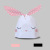 Cute Rabbit Ears Candy Snack Bag Rabbit Ears DIY Gift Plastic Packing Bag 50 13.5*22