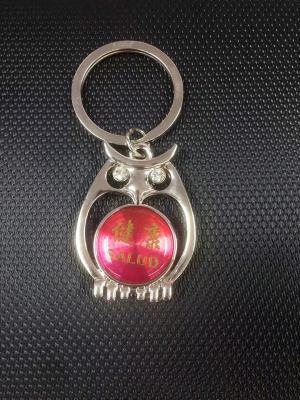 Owl plus Diamond Hole CD Pattern Keychain