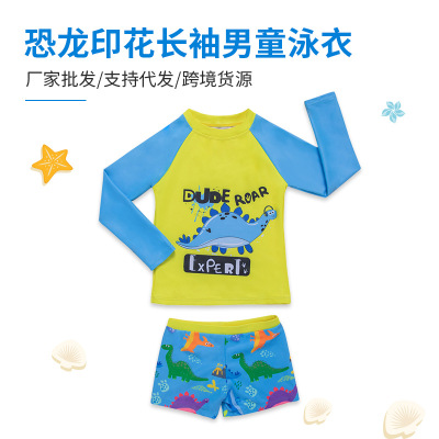 European and American Swimsuit for Boys Manufacturers Wholesale Long Sleeve Stitching Split Swimsuit Korean Cartoon Swimsuit