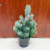 Christmas Decorations Desktop Potted Mini Christmas Tree Shopping Mall Hotel Party Ornaments Christmas Gifts