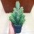 Christmas Decorations Desktop Potted Mini Christmas Tree Shopping Mall Hotel Party Ornaments Christmas Gifts