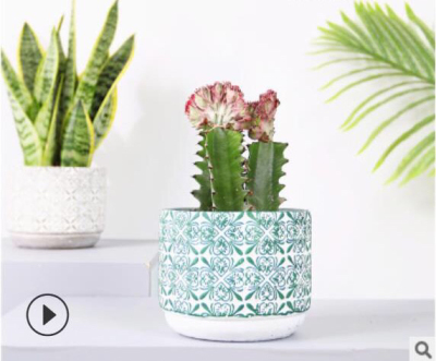 Nordic Style Decoration Small Bonsai Texture Ceramic Flower Pot Simulation Succulent Cactus Potted Plant Ornaments
