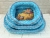 Winter Pet Baby Wowo, Home Cotton Thickened, Fashionable Style