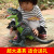 Electric Dinosaur Simulation Small Animal Tyrannosaurus Mechanical Dragon Jurassic Boy Toy Model Walking Egg 10