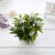 Popular Pastoral Artificial Flower Indoor Decorative Flower Small Plant Bonsai Desktop Mini Flower Decoration Valentine's Day Gift