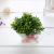 Foreign Trade Exclusive for Artificial Plant Indoor Living Room Artificial Flower Table Decoration Artificial Flower Valentine's Day Gift Customization Wholesale