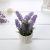 2019 Simulation Plant Artificial Flower Indoor Photography Decoration Mini Flower Decoration Foreign Trade Valentine's Day Gift Customization