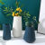 European-Style Simple Small Vase Living Room Flower Arrangement Dried Flower Decorative Ornament Office Hydroponic Plant Plastic Bottle