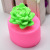 DIY Baking Succulent Modeling Three-Dimensional Succulent Fondant Cake Decoration Clay Silicone Mold
