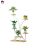 Flower Rack Storage Rack Indoor Living Room Green Radish Succulent Iron Flower Pot Rack Balcony Multi-Layer Floor Rack