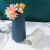 European-Style Simple Small Vase Living Room Flower Arrangement Dried Flower Decorative Ornament Office Hydroponic Plant Plastic Bottle