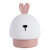 Silicone Night Lamp Bedroom Colorful Cute Rabbit Night Light Creative Decompression Bedroom Bedside Cute Grass Pinch Night Light