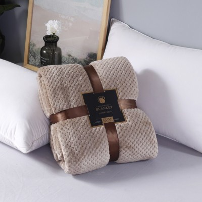 Japanese-Style Babe Cashmere Mesh Pineapple Plaid Blanket Sofa Office Flannel Blanket Wholesale Custom Gift Blanket