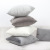 Amazon Hot Velvet Nordic Solid Color Netherlands Velvet Pillowcase Custom Affordable Luxury Sofa Cushion Cover