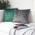 Modern Simple Internet Celebrity Pillow Velvet Embroidery Cushion Velvet Netherlands Velvet Solid Color Throw Pillowcase Factory Wholesale