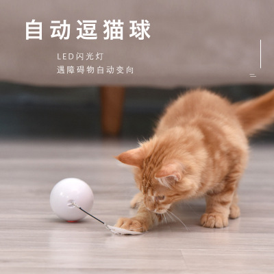 Amazon New Zihi Cat Toy Ball USB Electric Pet Led Rolling Flash Rolling Ball Changeable Feather