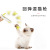 Amazon New Cat Toy Replaceable Badminton Rebound Folding Rod Funny Cat Stick Novelty Funny Cat Toy