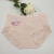 Popular Simple Soft Silk Cotton Underwear Women's Gentle and Comfortable Lace Panties Women's Briefs