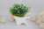 Small Trolley C- 1316 Artificial Flower Living Room Desktop Decorations New Fake Flower Valentine's Day Gift Customization