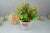 Large Horizontal Pattern Cup C- 1316 Artificial Flower Living Room Desktop Decoration New Fake Flower Love Fashion Craft Factory Wholesale