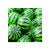 32mm Rubber Bouncy Ball Jumping Ball One Yuan Slot Machine Gashapon Machine Special Toy Ball Printing Watermelon