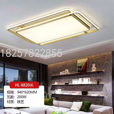 Annual New Living Room Modern Nordic Ceiling Lamp Simple Elegant Household European LED Ceiling Lamp