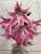 9 head artificial flower tiger lily  silk home decoration cheap flower 