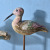 American Country Distressed Creative Bird Ornaments Home Decorations Couple Birds Wooden Craftwork Wholesale