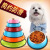 Qipei Color Stainless Steel Dog Cat Bowl Spray Paint Non-Slip Pet Bowl Dog Basin Color Dog Bowl Pet Supplies Wholesale