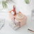 Drawer Cosmetic Storage Box Nordic Style Transparent Plastic Desktop Multi-Layer Compartment Jewelry Jewelry Storage Box